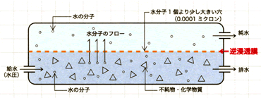 仕組み