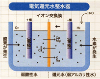 電気還元水整水器